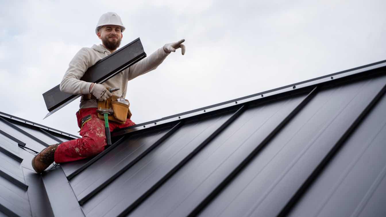 best brushes for roof moss removal