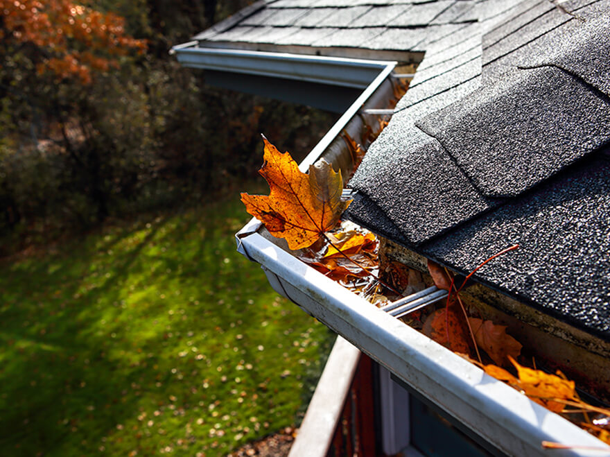 Roof drainage system maintenance