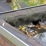 Roof Drainage