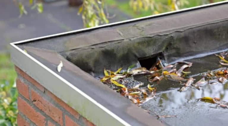 How to manage roof runoff: Tips for Homeowners