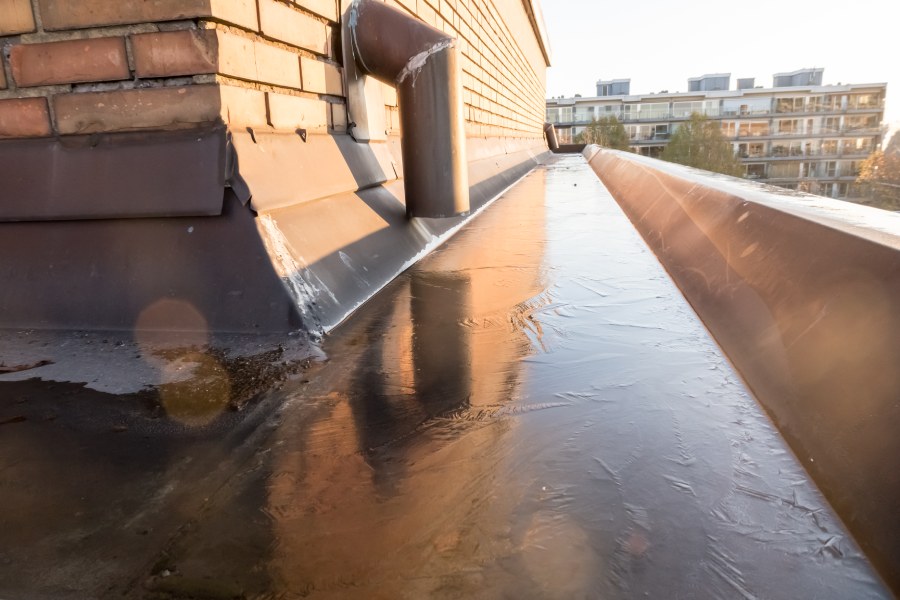 Gutter guards for roof drainage