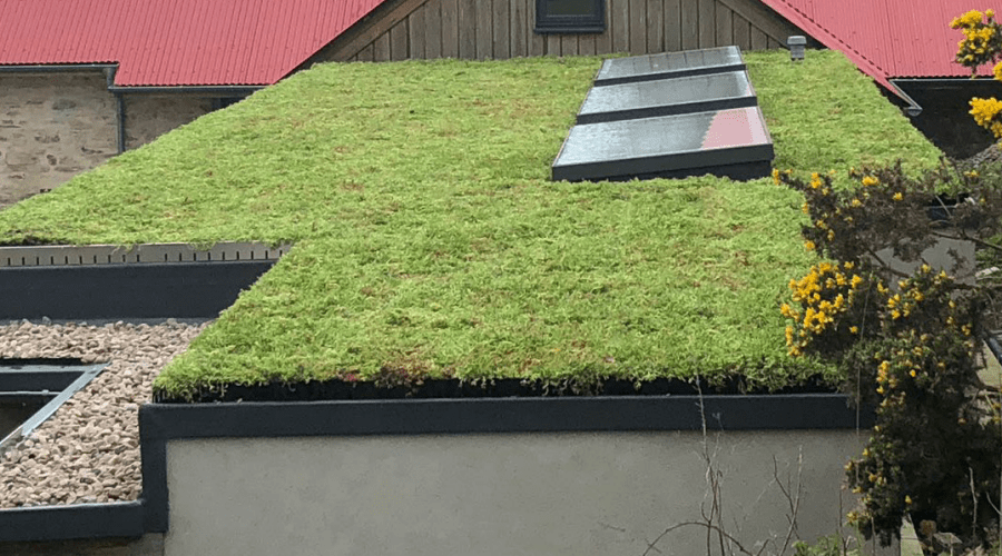 harvesting rainwater from green roofs