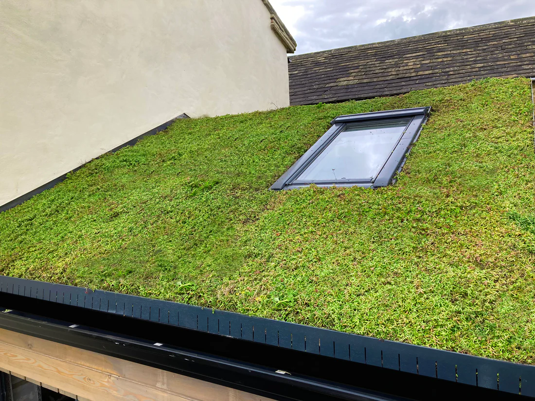 Green Roof Recycling Materials: Sustainable Choices for Your Home