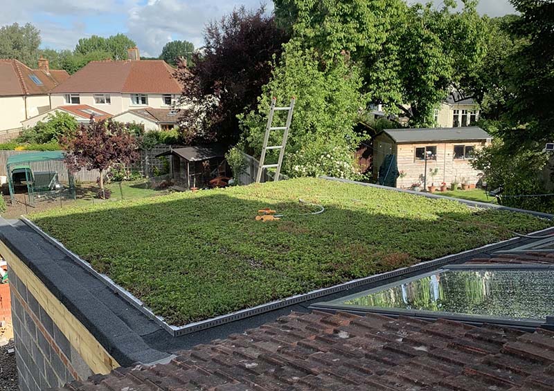 green roof wind resistance