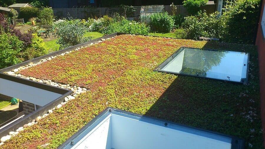 green roof case studies