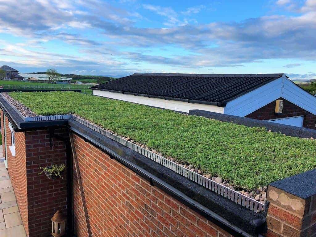 Urban Green Roofing: Embrace Sustainable Living Above