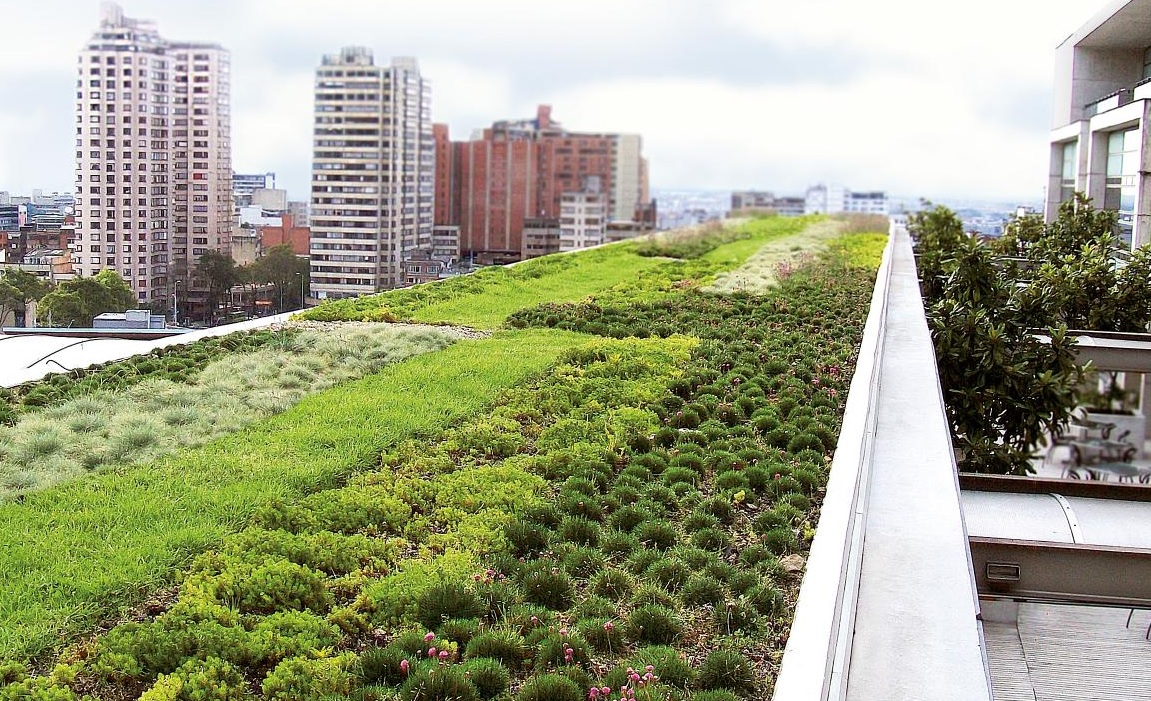 cost vs benefit green roofing