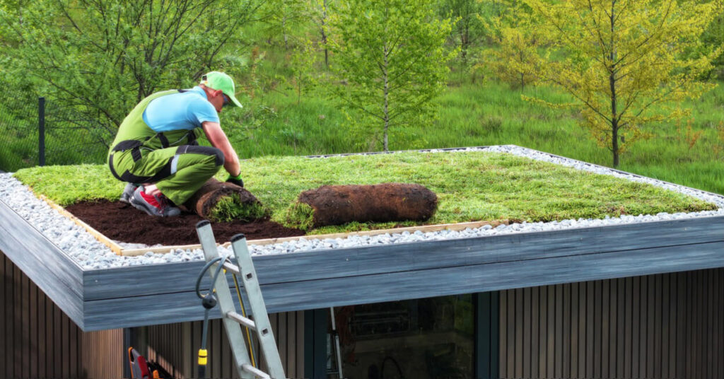 green roof drainage layers
