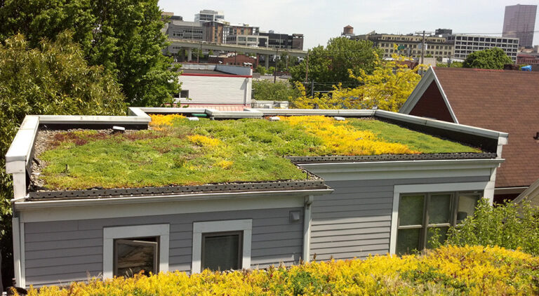 Picture of Combining Solar and Green Roofs: A Sustainable Solution for Urban ...