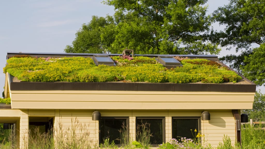 green roofing myths busted