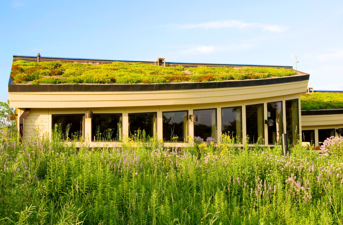 Modular vs Built-In Green Roofs: Which is Right for Your Home?