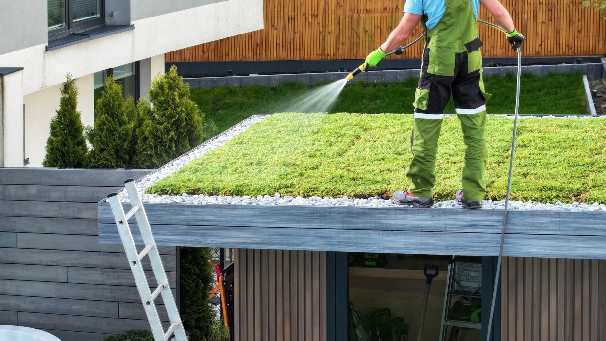 modular vs built-in green roofs