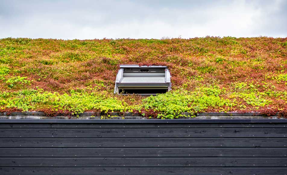 green roofing material suppliers