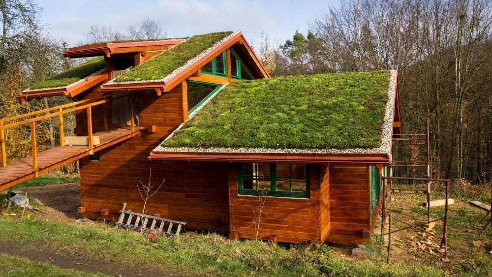 urban green roofing