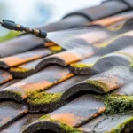 Moss on Roof