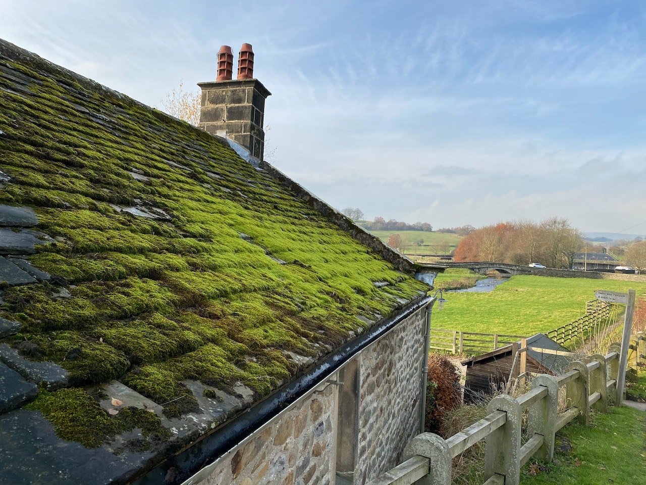 roof moss in gutters