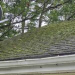 Moss on Roof