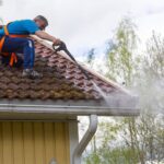 Moss on Roof