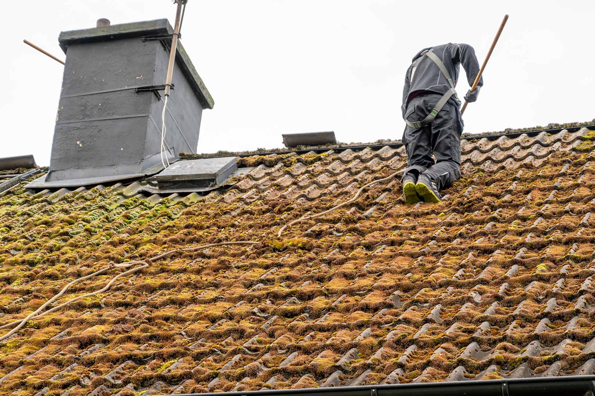 roof moss removal mistakes to avoid