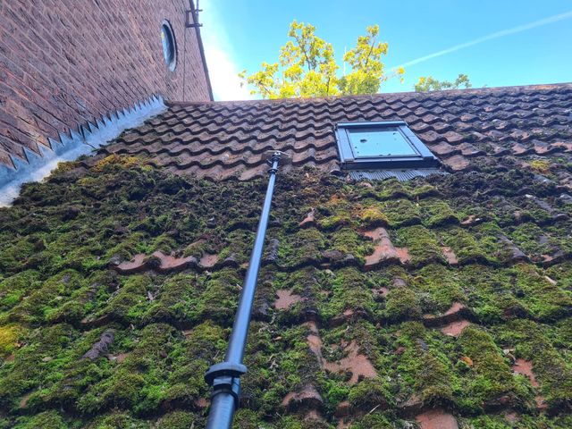 roof moss repair vs replacement