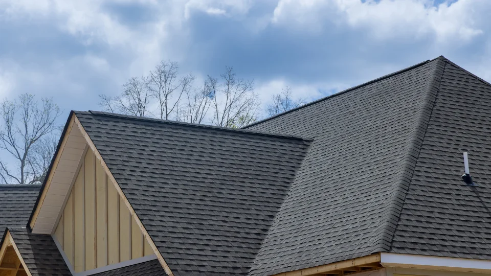 Signs You Need a New Roof: Don’t Wait for a Leak